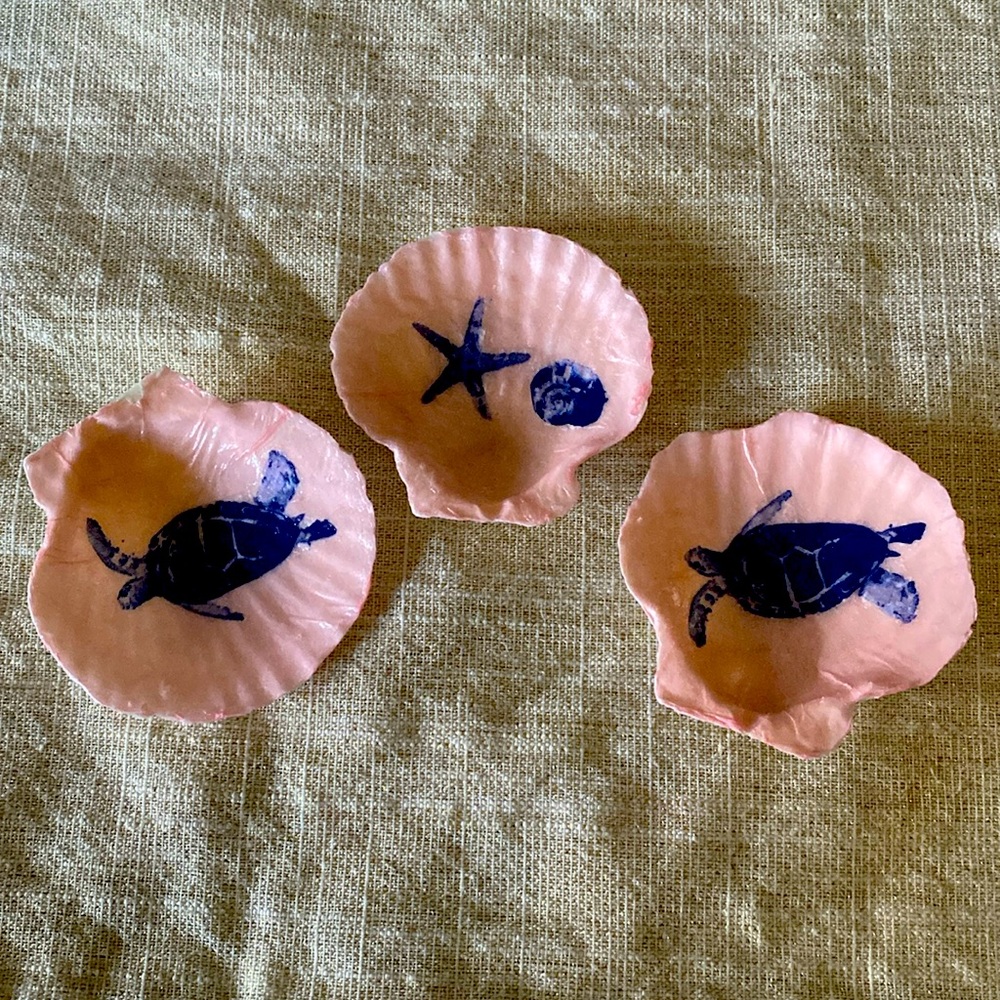 Trinket dish. Ring dish. Jewelry holder. Turtle turtles shells shell Handmade